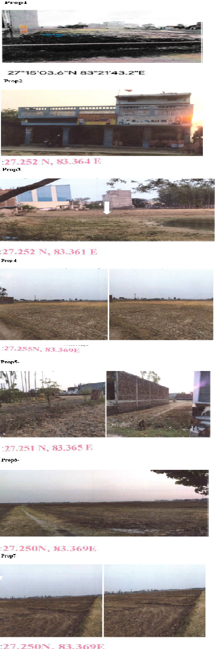 Bharat Agro, Uttar Pradesh